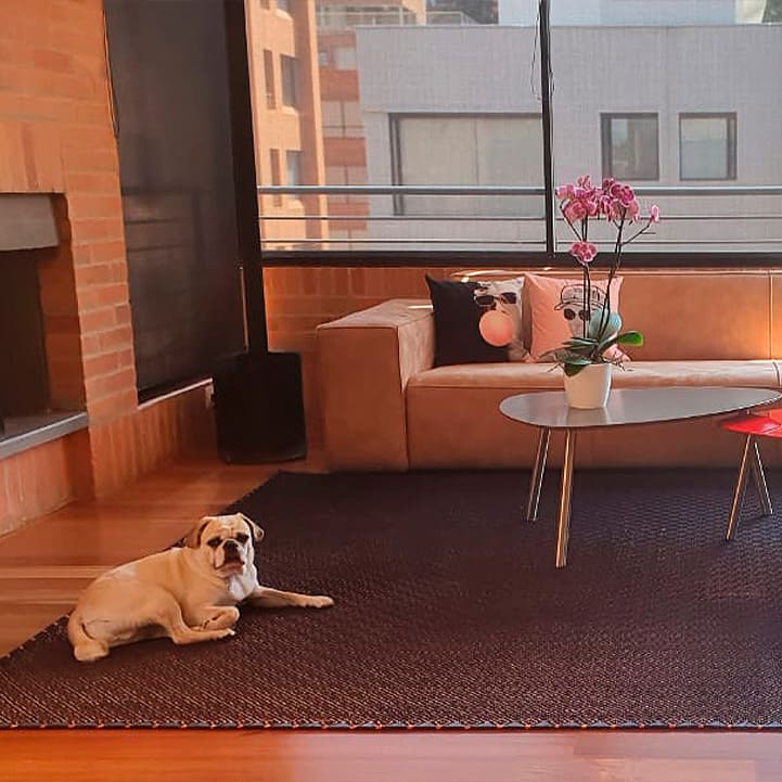 Tapetes de seda y metal